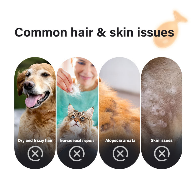 Krill Oil Soft Capsules