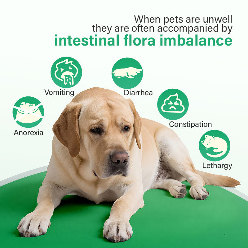 Probiotics Nutrient Solution 30ml