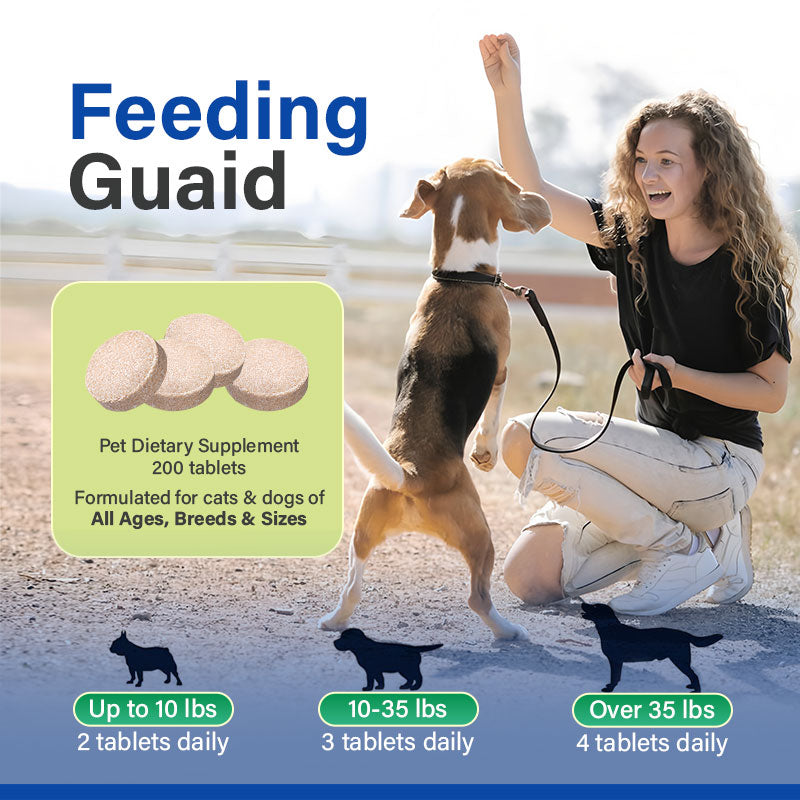 Shark Chondroitin Tablets