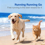 Shark Chondroitin Tablets